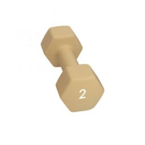 Abilica-Dumbbell 2 Kg-374276-Sporten Bagn-1