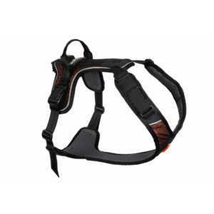 Non-Stop Rock Harness